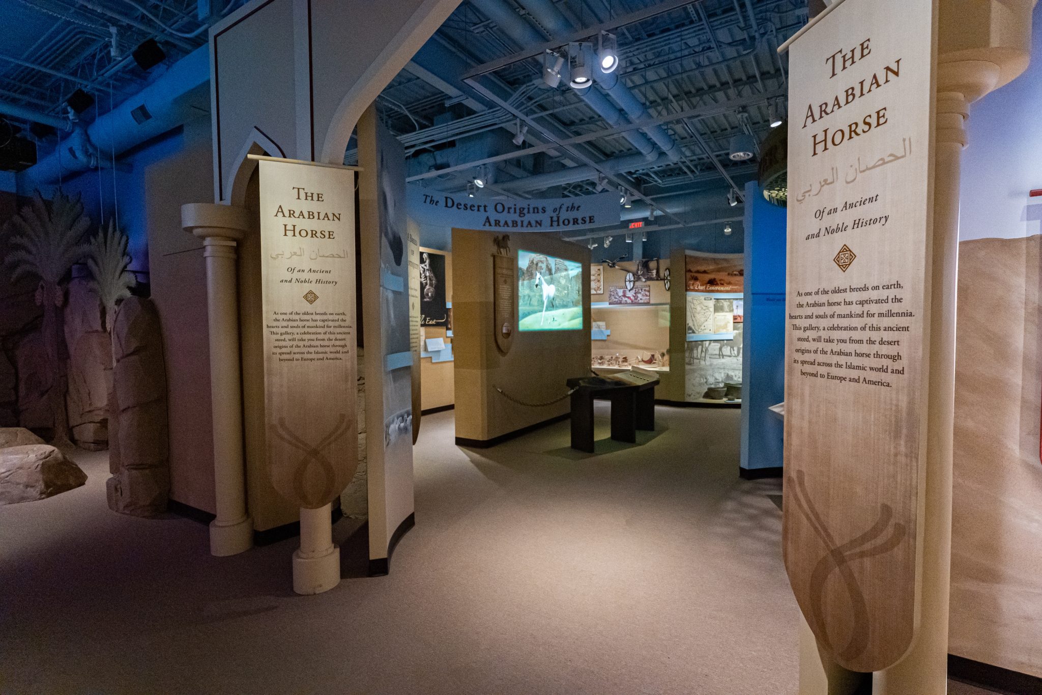 International Museum of the Horse Al-Marah Galleries